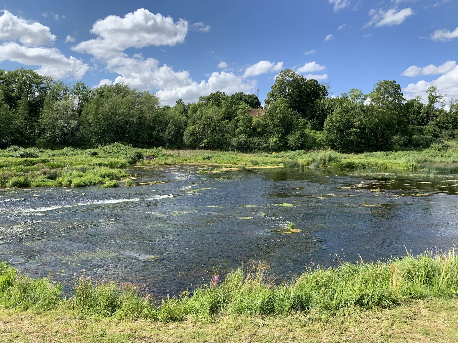 Riga: Excursion Gauja National Park optional extra