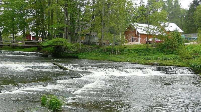 Tallinn: Lahemaa National Park Excursion optional extra