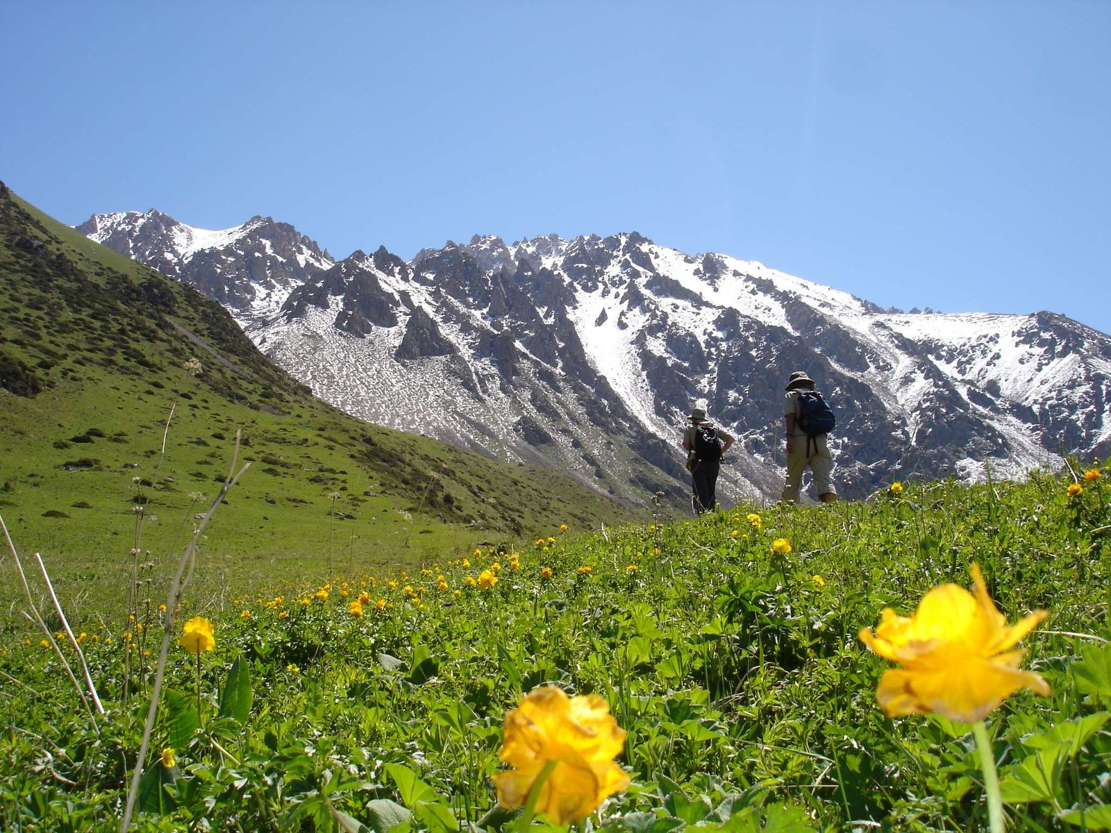 Program image from Turkmenistan, Uzbekistan & Kyrgyzstan
